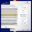 ECSTASY-thumbnails-2.webp
