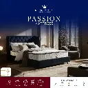 passion-thumbnails1.webp
