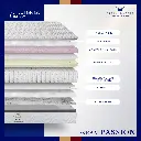 passion-thumbnails-2.webp
